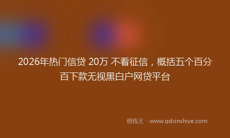 2026年热门信贷 20万 不看征信，概括五个百分百下款无视黑白户网贷平台