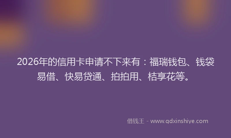 2026年的信用卡申请不下来有：福瑞钱包、钱袋易借、快易贷通、拍拍用、桔享花等。