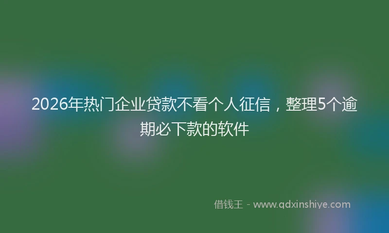 2026年热门企业贷款不看个人征信，整理5个逾期必下款的软件
