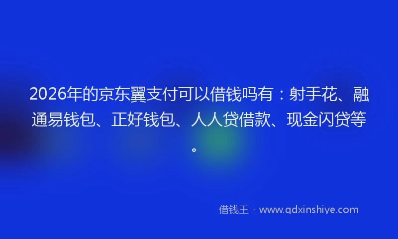 2026年的京东翼支付可以借钱吗有：射手花、融通易钱包、正好钱包、人人贷借款、现金闪贷等。