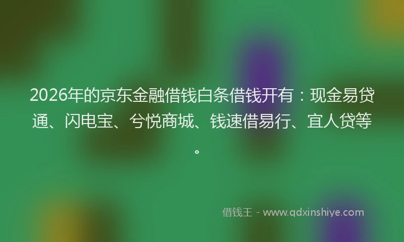 2026年的京东金融借钱白条借钱开有：现金易贷通、闪电宝、兮悦商城、钱速借易行、宜人贷等。