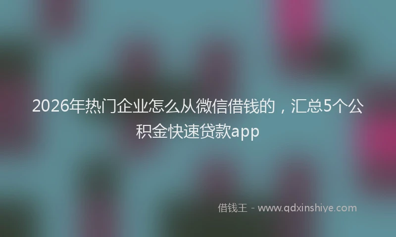 2026年热门企业怎么从微信借钱的，汇总5个公积金快速贷款app