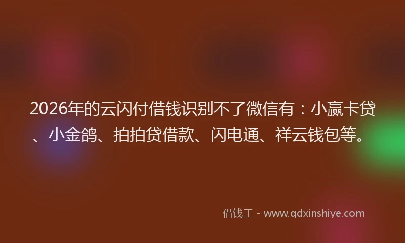 2026年的云闪付借钱识别不了微信有：小赢卡贷、小金鸽、拍拍贷借款、闪电通、祥云钱包等。