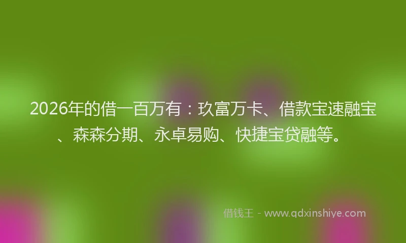 2026年的借一百万有：玖富万卡、借款宝速融宝、森森分期、永卓易购、快捷宝贷融等。