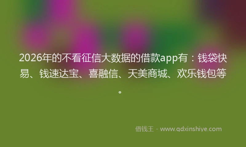 2026年的不看征信大数据的借款app有：钱袋快易、钱速达宝、喜融信、天美商城、欢乐钱包等。