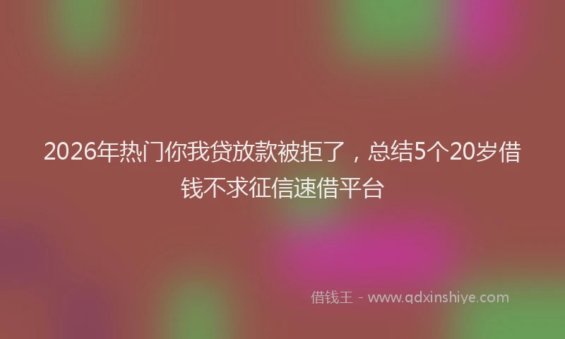 2026年热门你我贷放款被拒了，总结5个20岁借钱不求征信速借平台