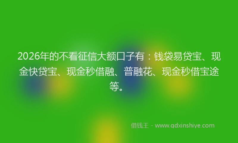2026年的不看征信大额口子有：钱袋易贷宝、现金快贷宝、现金秒借融、普融花、现金秒借宝途等。