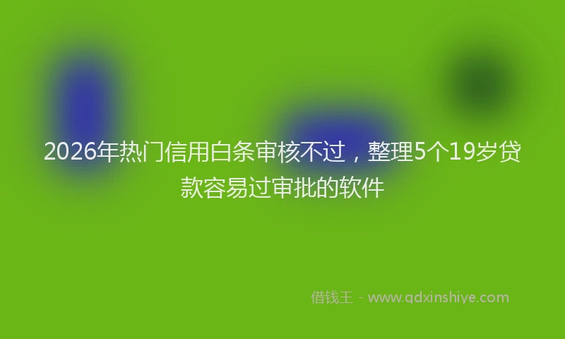 2026年热门信用白条审核不过，整理5个19岁贷款容易过审批的软件