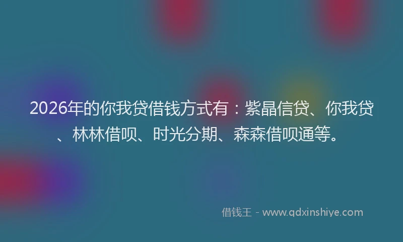 2026年的你我贷借钱方式有：紫晶信贷、你我贷、林林借呗、时光分期、森森借呗通等。
