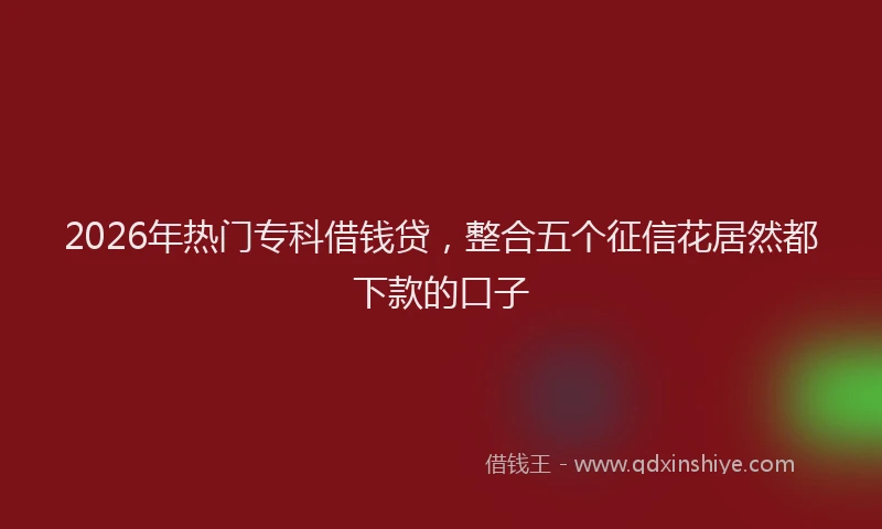 2026年热门专科借钱贷，整合五个征信花居然都下款的口子