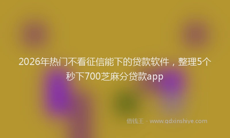 2026年热门不看征信能下的贷款软件，整理5个秒下700芝麻分贷款app