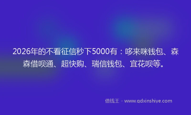 2026年的不看征信秒下5000有：哆来咪钱包、森森借呗通、超快购、瑞信钱包、宜花呗等。
