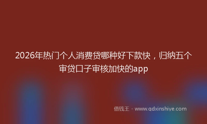 2026年热门个人消费贷哪种好下款快，归纳五个审贷口子审核加快的app