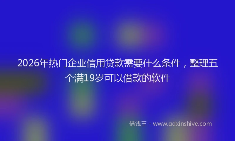 2026年热门企业信用贷款需要什么条件，整理五个满19岁可以借款的软件