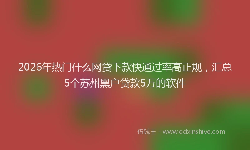 2026年热门什么网贷下款快通过率高正规，汇总5个苏州黑户贷款5万的软件