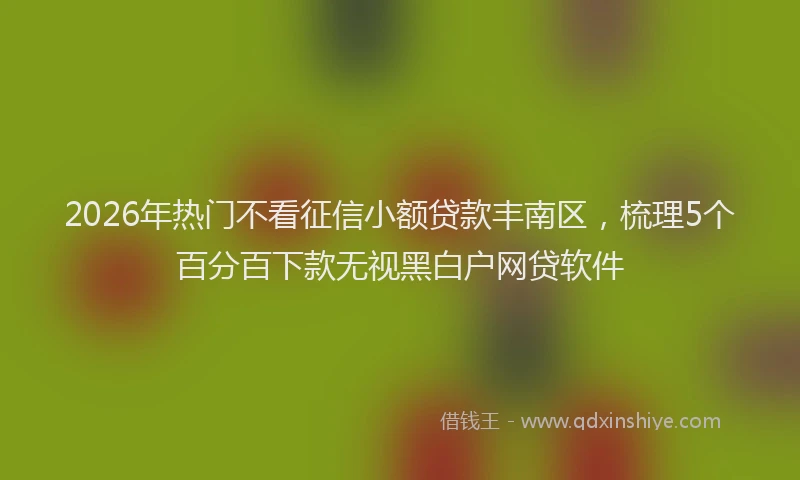 2026年热门不看征信小额贷款丰南区，梳理5个百分百下款无视黑白户网贷软件