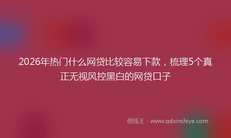 2026年热门什么网贷比较容易下款，梳理5个真正无视风控黑白的网贷口子