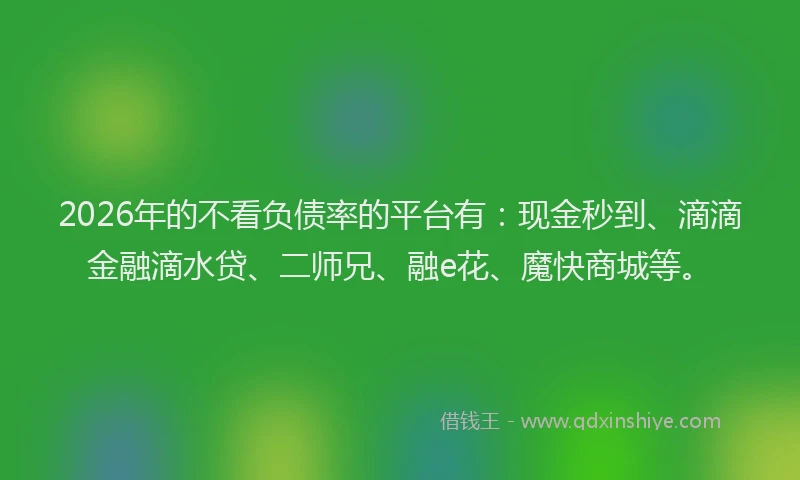 2026年的不看负债率的平台有：现金秒到、滴滴金融滴水贷、二师兄、融e花、魔快商城等。