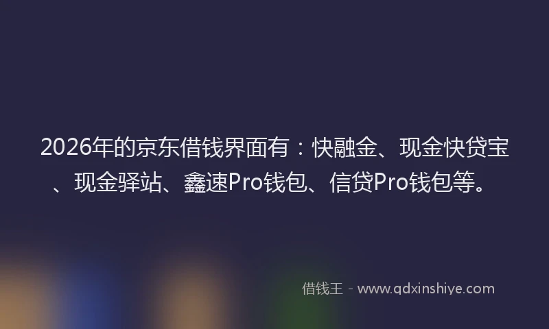 2026年的京东借钱界面有：快融金、现金快贷宝、现金驿站、鑫速Pro钱包、信贷Pro钱包等。
