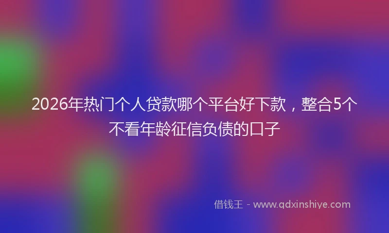 2026年热门个人贷款哪个平台好下款，整合5个不看年龄征信负债的口子