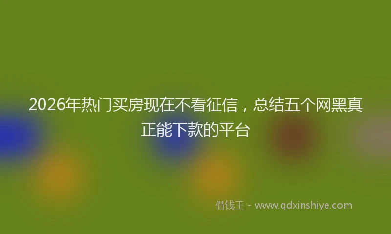 2026年热门买房现在不看征信，总结五个网黑真正能下款的平台