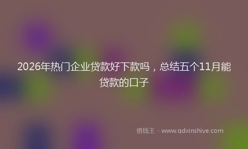 2026年热门企业贷款好下款吗，总结五个11月能贷款的口子