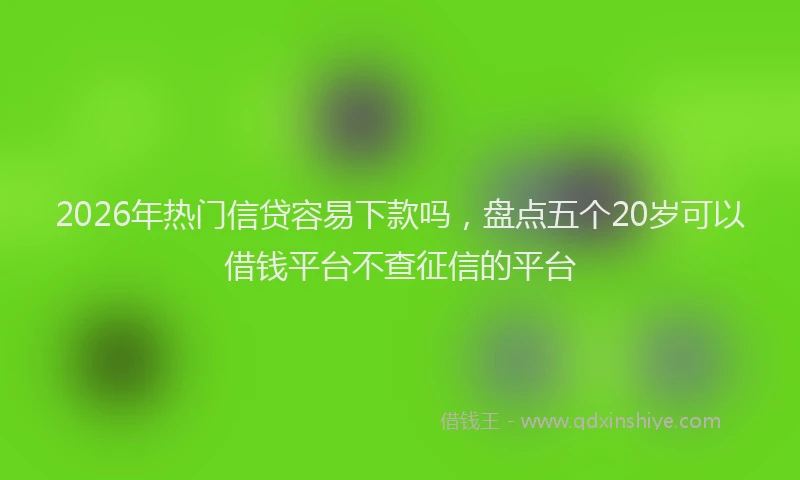 2026年热门信贷容易下款吗，盘点五个20岁可以借钱平台不查征信的平台