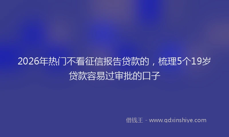 2026年热门不看征信报告贷款的，梳理5个19岁贷款容易过审批的口子