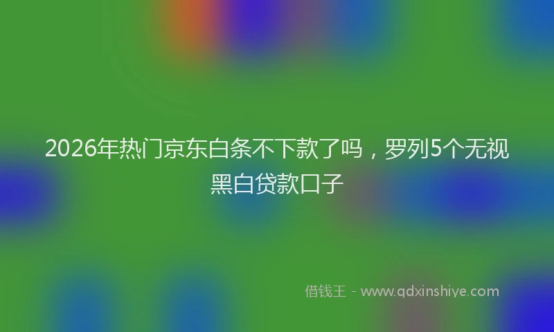 2026年热门京东白条不下款了吗，罗列5个无视黑白贷款口子