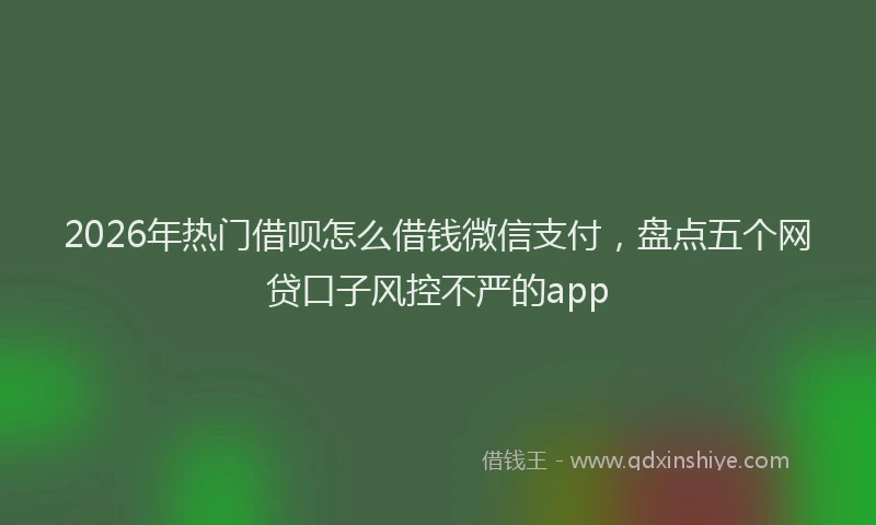 2026年热门借呗怎么借钱微信支付，盘点五个网贷口子风控不严的app