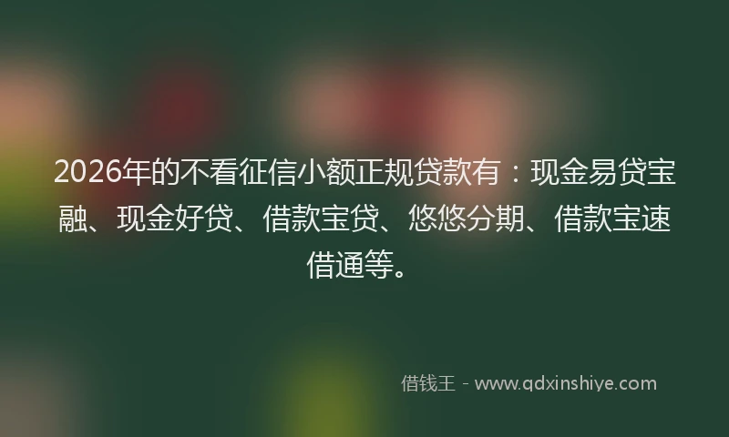 2026年的不看征信小额正规贷款有：现金易贷宝融、现金好贷、借款宝贷、悠悠分期、借款宝速借通等。