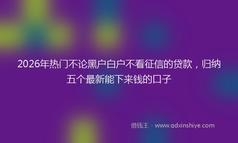 2026年热门不论黑户白户不看征信的贷款，归纳五个最新能下来钱的口子