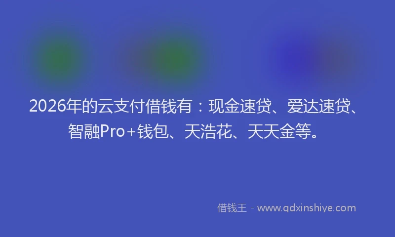 2026年的云支付借钱有：现金速贷、爱达速贷、智融Pro+钱包、天浩花、天天金等。