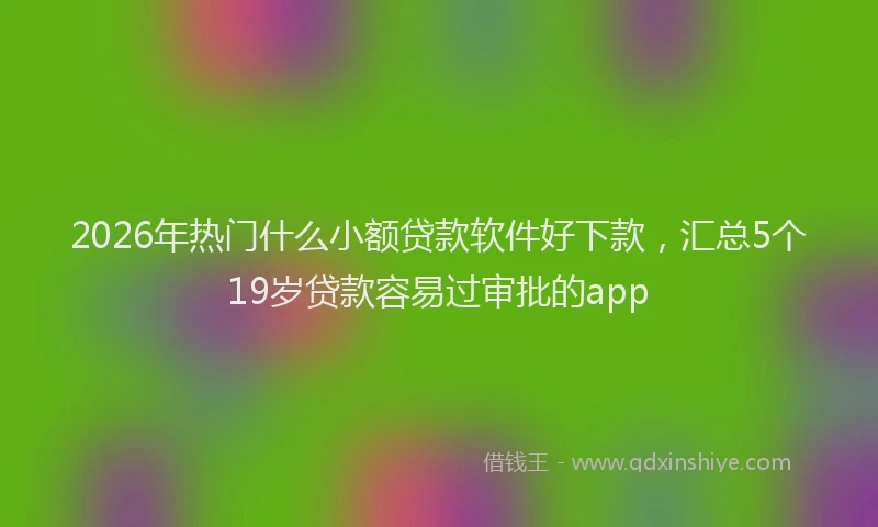 2026年热门什么小额贷款软件好下款，汇总5个19岁贷款容易过审批的app
