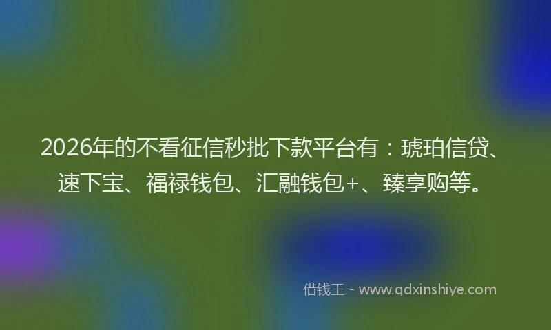 2026年的不看征信秒批下款平台有：琥珀信贷、速下宝、福禄钱包、汇融钱包+、臻享购等。