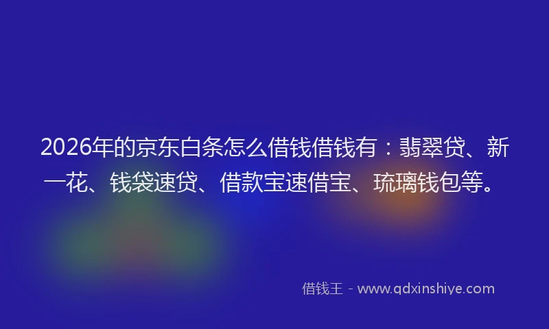 2026年的京东白条怎么借钱借钱有：翡翠贷、新一花、钱袋速贷、借款宝速借宝、琉璃钱包等。