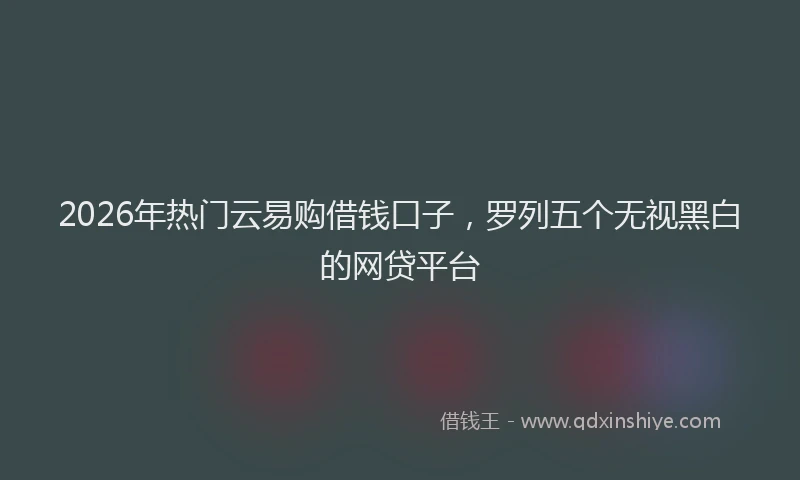 2026年热门云易购借钱口子，罗列五个无视黑白的网贷平台
