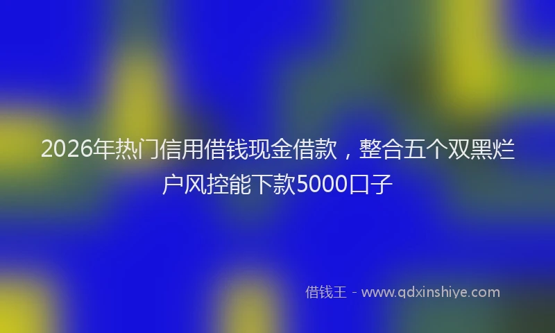 2026年热门信用借钱现金借款，整合五个双黑烂户风控能下款5000口子