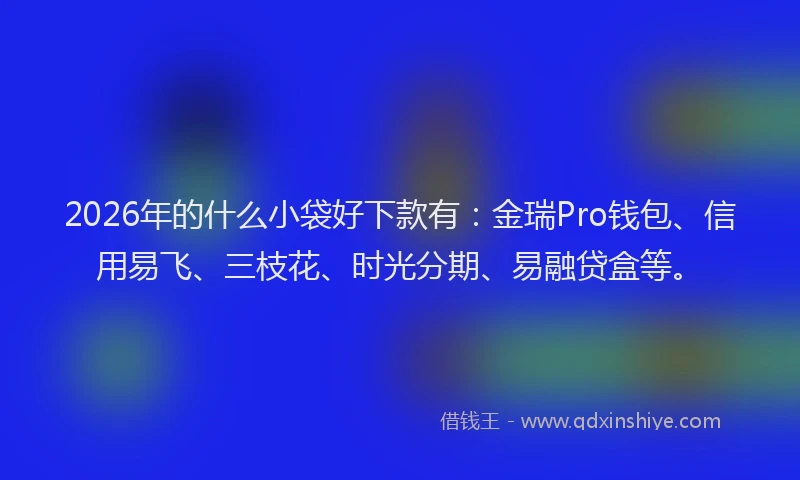 2026年的什么小袋好下款有：金瑞Pro钱包、信用易飞、三枝花、时光分期、易融贷盒等。