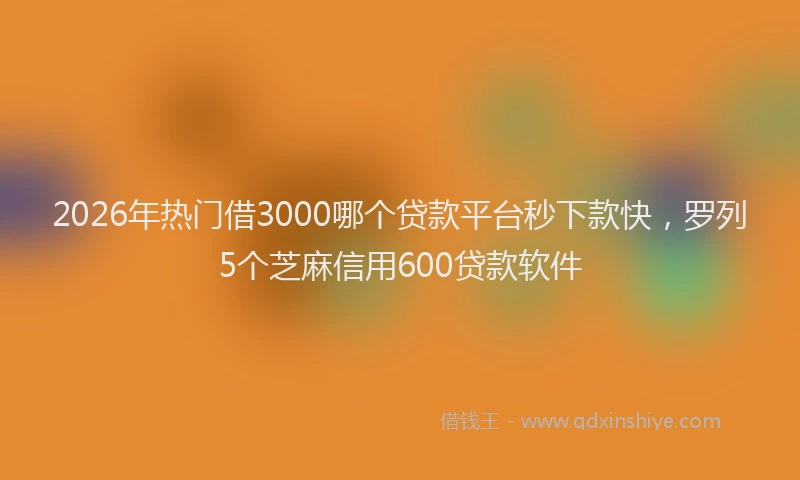 2026年热门借3000哪个贷款平台秒下款快，罗列5个芝麻信用600贷款软件