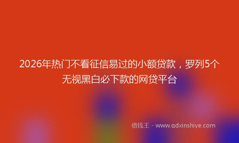2026年热门不看征信易过的小额贷款，罗列5个无视黑白必下款的网贷平台