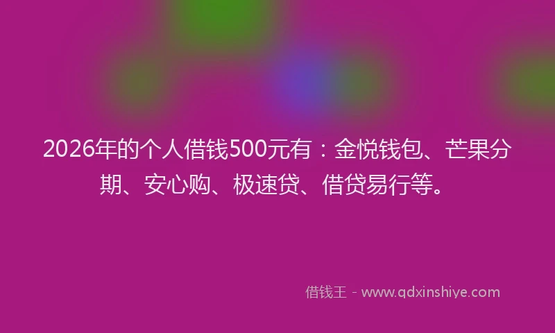 2026年的个人借钱500元有：金悦钱包、芒果分期、安心购、极速贷、借贷易行等。