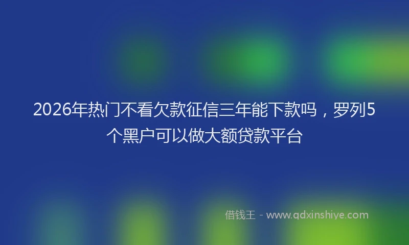 2026年热门不看欠款征信三年能下款吗，罗列5个黑户可以做大额贷款平台