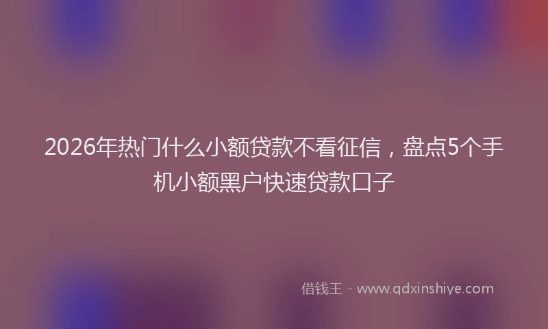 2026年热门什么小额贷款不看征信，盘点5个手机小额黑户快速贷款口子