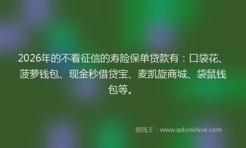 2026年的不看征信的寿险保单贷款有：口袋花、菠萝钱包、现金秒借贷宝、麦凯旋商城、袋鼠钱包等。