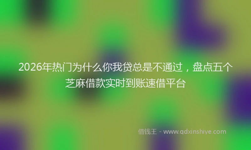 2026年热门为什么你我贷总是不通过，盘点五个芝麻借款实时到账速借平台