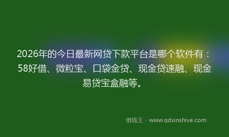 2026年的今日最新网贷下款平台是哪个软件有：58好借、微粒宝、口袋金贷、现金贷速融、现金易贷宝盒融等。