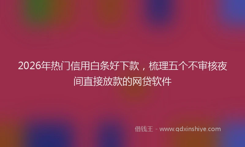 2026年热门信用白条好下款，梳理五个不审核夜间直接放款的网贷软件