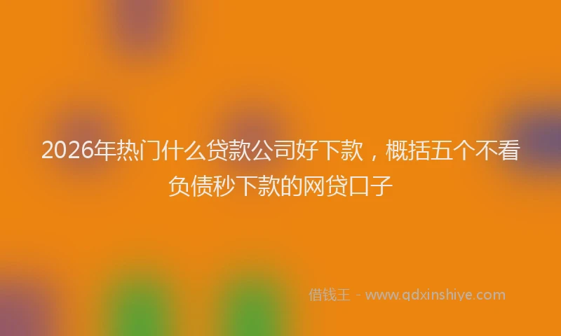 2026年热门什么贷款公司好下款，概括五个不看负债秒下款的网贷口子