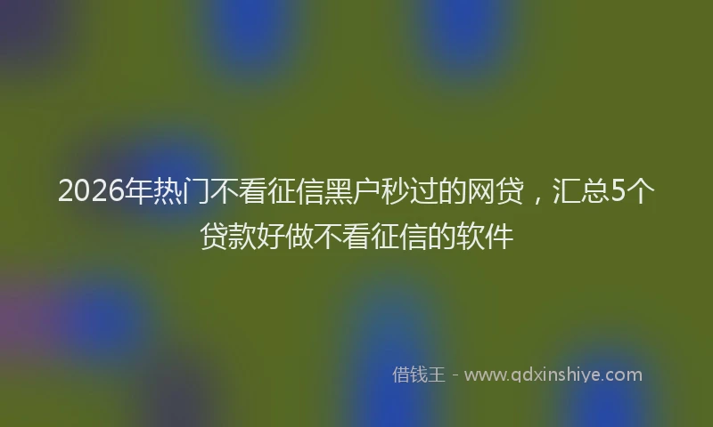 2026年热门不看征信黑户秒过的网贷，汇总5个贷款好做不看征信的软件